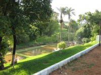 /album/galeria-de-fotos/vista-do-tanque-de-peixe-ao-fundo-galinheiro-jpg/